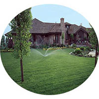 Lonsdale grass sprinkler systems
